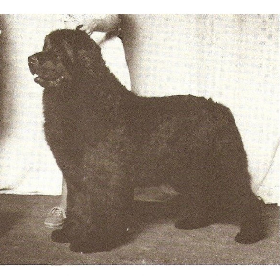 T Arvals Ocean Splendor (08-12-1973)